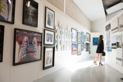 A gallery hung on Exhibition Walls panels